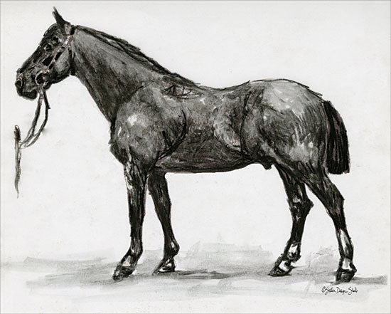 Stellar Design Studio SDS133 - SDS133 - Horse Study 4 - 16x12 Horse, Black & White, Study from Penny Lane