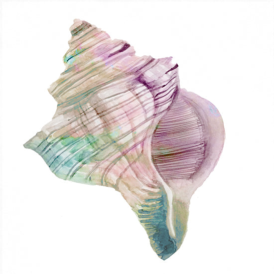Stellar Design Studio SDS1380 - SDS1380 - Conch Shell - 12x12 Coastal, Shell, Conch Shell, Rainbow Color from Penny Lane