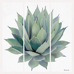 SDS236 - Agave Triptych 2 - 12x12