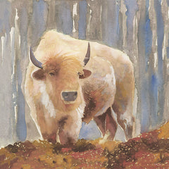 SDS251 - White Buffalo - 12x12