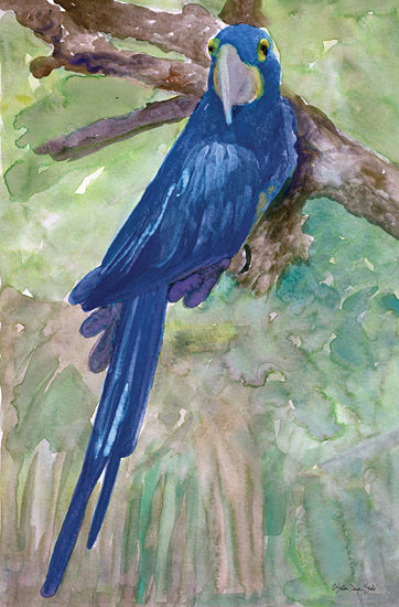 Stellar Design Studio SDS283 - SDS283 - Blue Parrot 1 - 12x18 Parrot, Tree, Tropical from Penny Lane