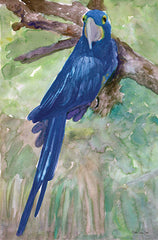 SDS283 - Blue Parrot 1 - 12x18