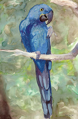 SDS284 - Blue Parrot 2 - 12x18