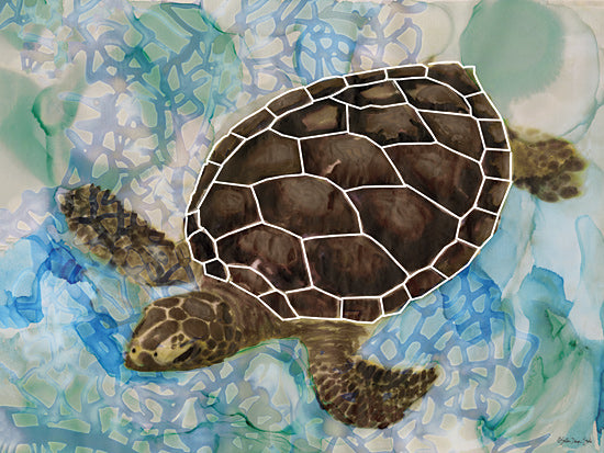 Stellar Design Studio SDS300 - SDS300 - Sea Turtle Collage 2 - 16x12 Sea Turtle, Nautical, Tropical from Penny Lane