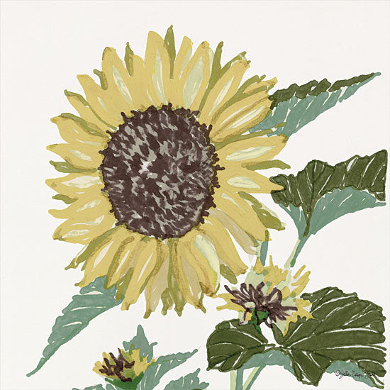 Stellar Design Studio SDS317 - SDS317 - Floral Study 3 - 12x12 Sunflower from Penny Lane