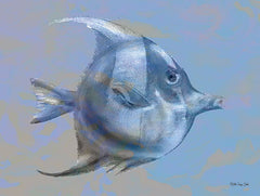SDS348 - Blue Fish 1 - 16x12