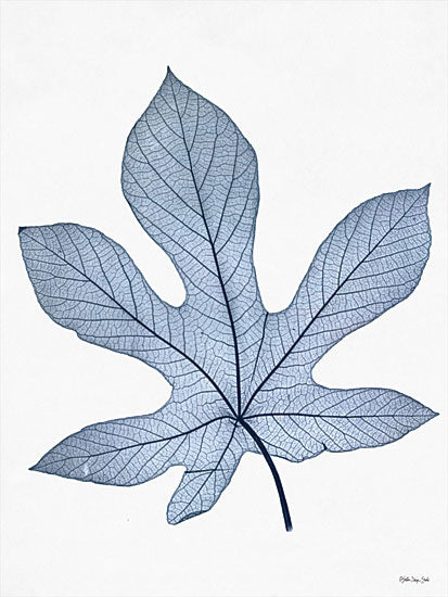 Stellar Design Studio SDS431 - SDS431 - Indigo Nature Study III - 12x16 Indigo Nature Study, Leaf, Blue and White, Botanical from Penny Lane
