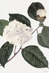 SDS446 - White Botanical I - 12x18