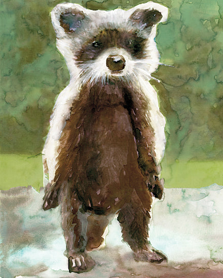 Stellar Designs Studio SDS484 - SDS484 - Baby Racoon - 12x16 Racoon, Babies, Kits, Watercolor from Penny Lane