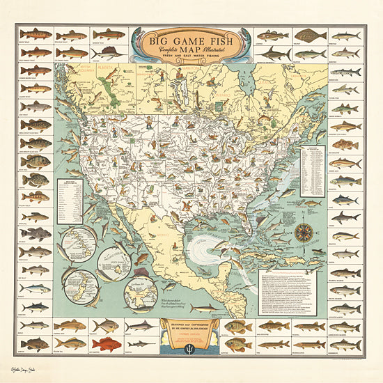 Stellar Design Studios SDS501 - SDS501 - Big Game Fish Map - 12x12 Map, Big Game, Fish, United States, North America from Penny Lane