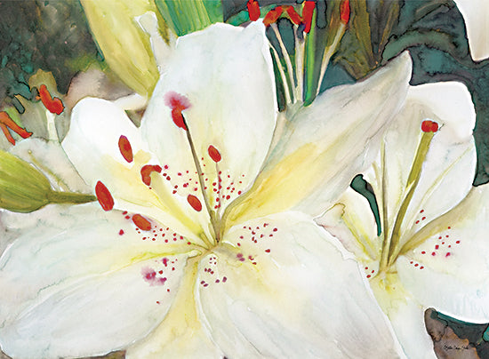 Stellar Design Studio SDS567 - SDS567 - Macro Lilies - 16x12 Lilies, Flowers, Blooms, Botanical from Penny Lane