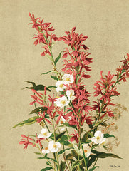 SDS635 - Meadow Flowers 2 - 12x16