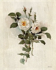 SDS638 - White Roses - 12x16