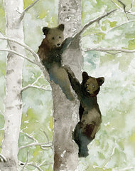 SDS800 - Bear Cub in Tree 1 - 12x16