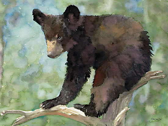 Stellar Design Studio SDS801 - SDS801 - Bear Cub in Tree 2 - 16x12 Bear, Bear Cub, Brown Bear, Trees, Abstract, Wildlife from Penny Lane