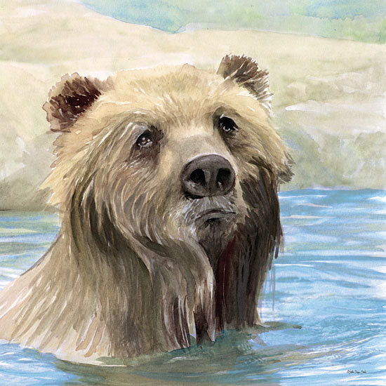 Stellar Design Studio SDS802 - SDS802 - Bear Bath - 12x12 Bear, Brown Bear, River, Wildlife from Penny Lane