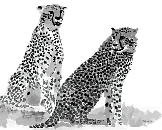 Stellar Design Studio SDS817 - SDS817 - Cheetahs - 16x12 Cheetahs, Animals, Black & White from Penny Lane