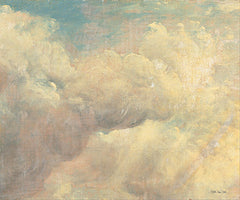 SDS878 - Clouds    - 16x12