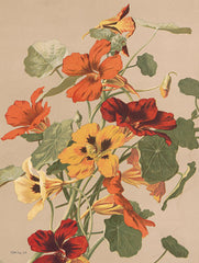 SDS950 - Antique Botanical Collection 2 - 12x18