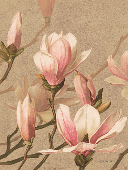 Stellar Design Studio SDS952 - SDS952 - Antique Botanical Collection 4 - 12x18 Flowers, Pink Flowers, Botanical, Spring, Springtime from Penny Lane