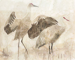 SDS960 - Sandhill Cranes 2 - 16x12