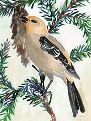 SDS979 - Bird and Branch 2 - 12x16