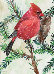 SDS983 - Cardinal and Branch    - 12x16