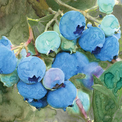 SDS988 - Blueberries 2 - 12x12