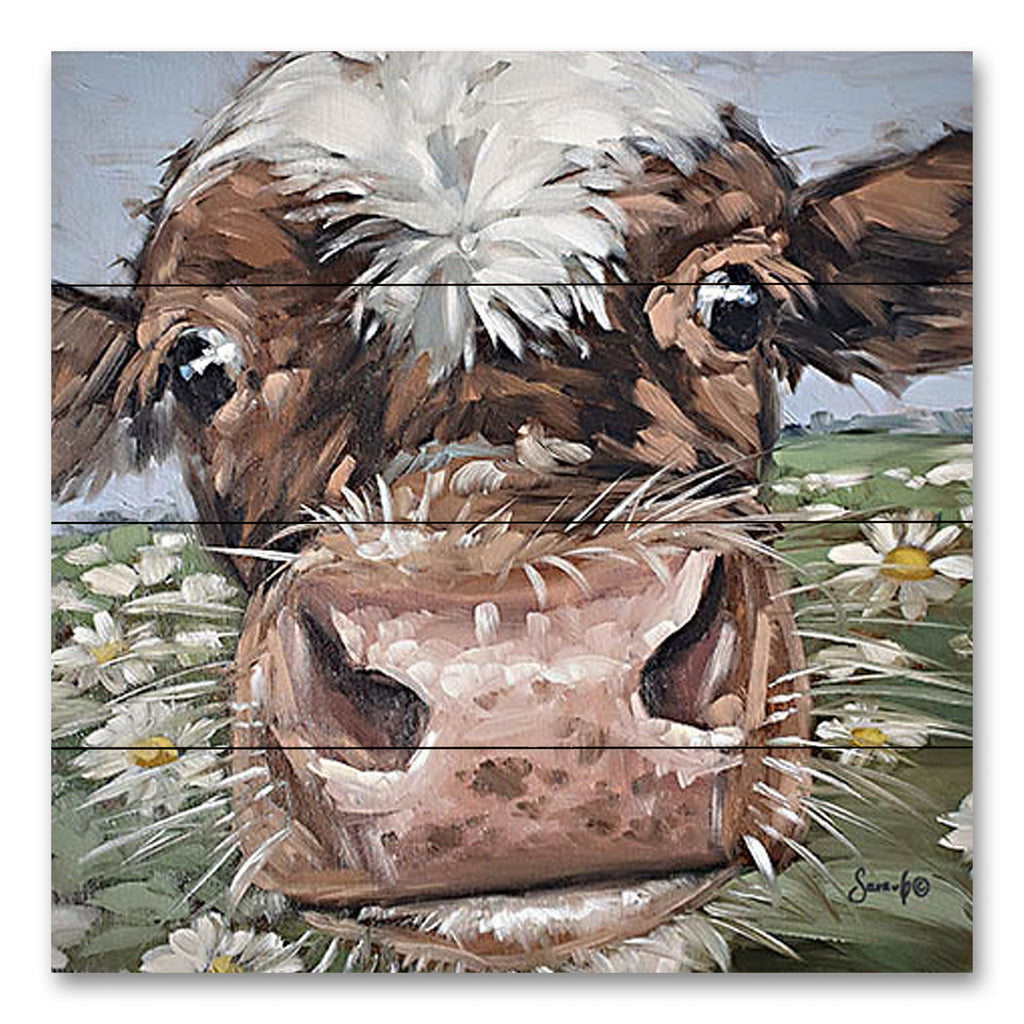 Sara G. Designs SGD102PAL - SGD102PAL - Just a Little Smooch - 12x12 Cow, Whimsical, Daisies, Flowers, Close Up, Brown Cow from Penny Lane
