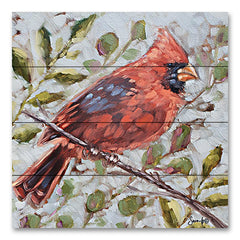 SGD149PAL - Cardinal in the Morning - 12x12