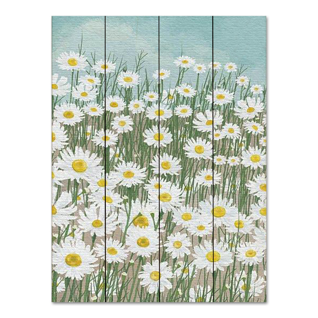Seven Trees Design ST1005PAL - ST1005PAL - Daisies in the Sky - 12x16 Flowers, Daisies, Field of Daisies, Spring, Springtime from Penny Lane