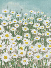 ST1005 - Daisies in the Sky - 12x16