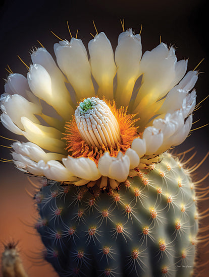 Seven Trees Design ST1045 - ST1045 - Cactus Garden I - 12x16 Photography, Cactus, Flowering Cactus, Yellow from Penny Lane