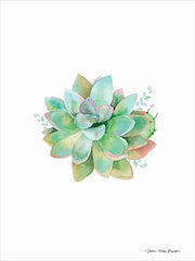 ST157 - Watercolor Succulent I