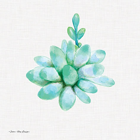 Seven Trees ST160 - Succulent Trio I - Succulents from Penny Lane Publishing