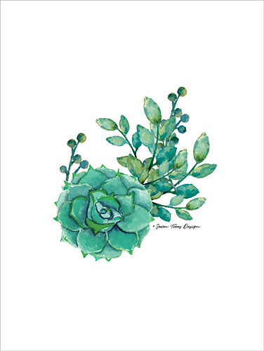 Seven Trees ST167 - Succulent Plant III - Succulents from Penny Lane Publishing
