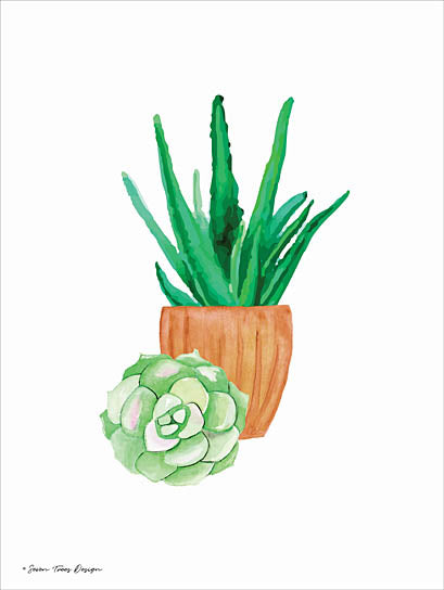 Seven Trees ST170 - Succulent and Cactus I - Succulents, Cactus from Penny Lane Publishing