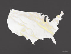 ST676 - Marble Gold USA Map - 16x12