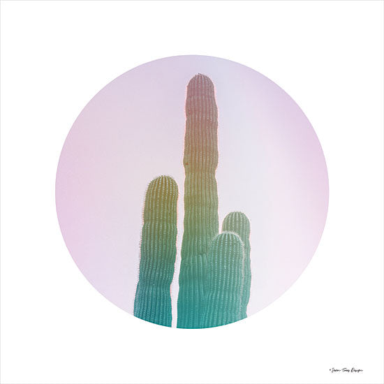 Seven Trees Design ST679 - ST679 - Circular Cacti - 12x12 Cactus, Circle, Rainbow Colors, Contemporary from Penny Lane