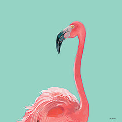 ST753 - Flamingo - 12x12