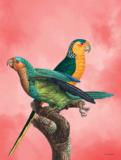 Seven Trees Design ST768 - ST768 - The Birds and the Pink Sky I - 12x16 Birds, Parrots, Photography from Penny Lane