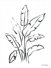 ST919 - Banana Leaf Drawing - 12x16