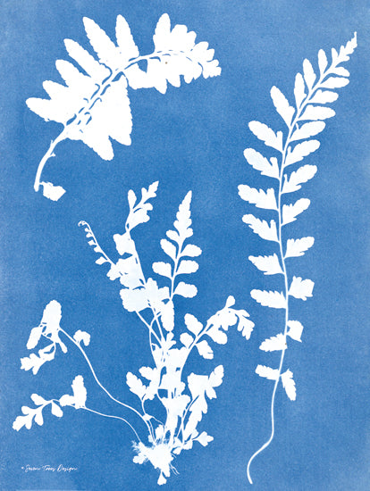 Seven Trees Design ST924 - ST924 - Blue Botanical II - 12x16 Leaves, Fern Leaves, Botanical, Blue & White from Penny Lane