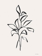 ST991 - Eucalyptus Leaf Drawing   - 12x16