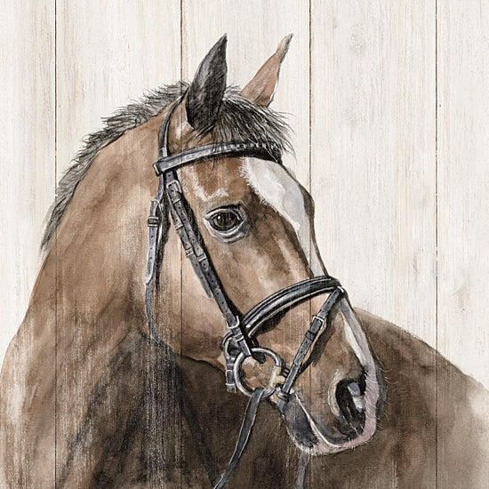 White Ladder WL171 - WL171 - Horse Portrait - 12x12 Horse, Portrait, Animals from Penny Lane