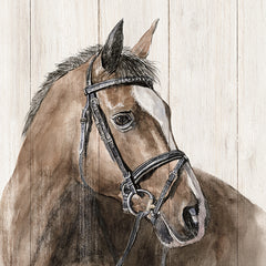 WL171 - Horse Portrait - 12x12