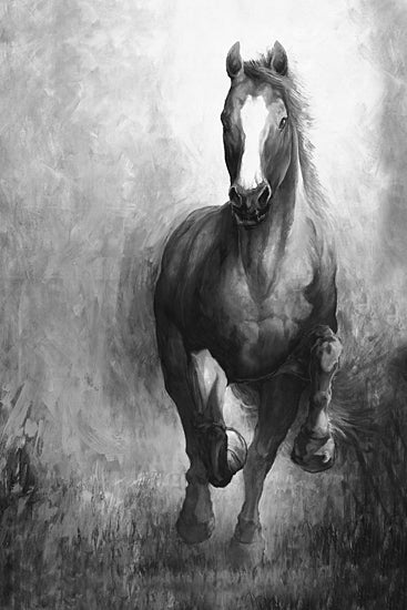White Ladder WL184 - WL184 - Galloping Horse  - 12x18 Horse, Galloping Horse, Animal, Black & White from Penny Lane
