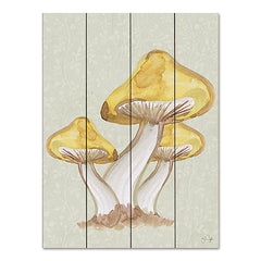 YND166PAL - Calming Mushrooms - 12x16