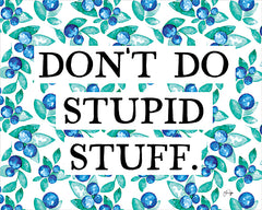 YND273 - Don't Do Stupid Stuff - 16x12