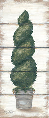 ALP1661 - Spiral Topiary